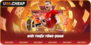 Giới thiệu tổng quan